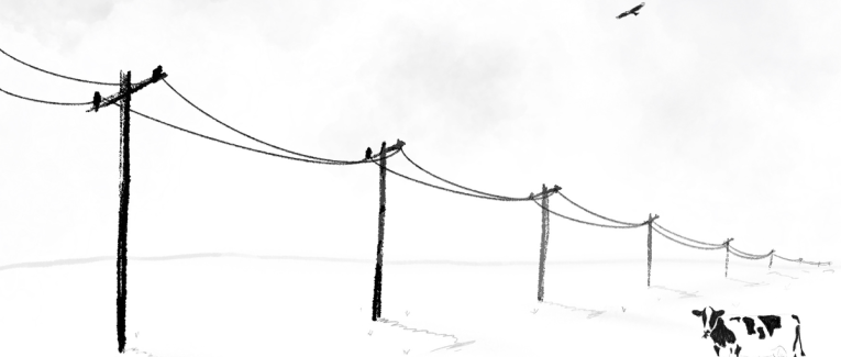 Minimal art with cow