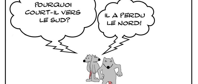 Perdu dans le sud