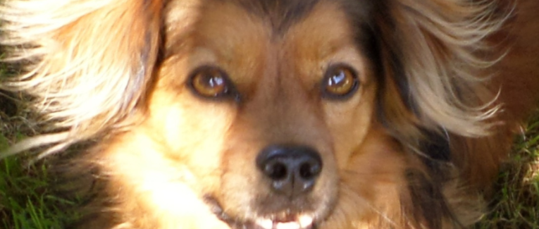 Le message de Sacha : Sécurité et confiance