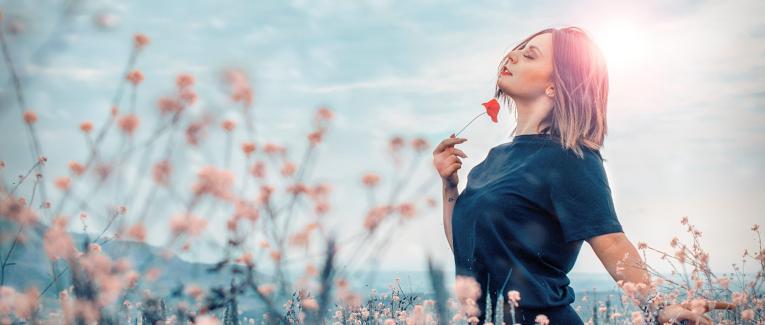 Il est où le bonheur, Il est où ?