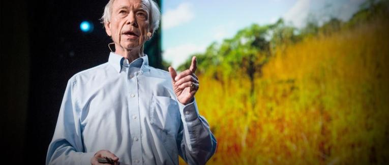 L'élevage sauverait le climat ? Management holistique, ou comment l'élevage pourrait inverser le changement climatique