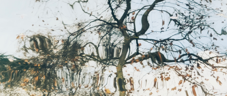 Photo-poème : L'impermanence