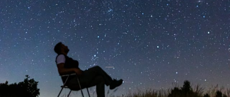 Tous ces mots perdus.