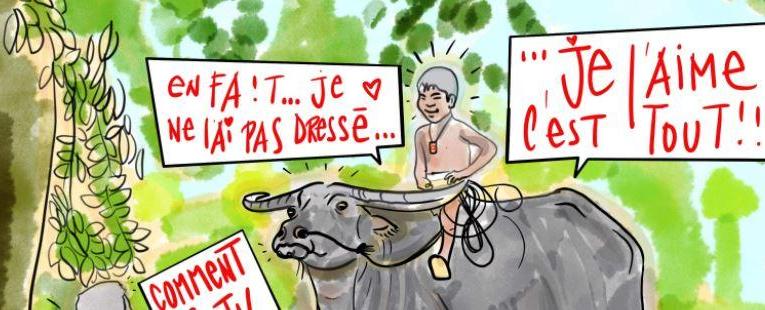 ZEN : LES DIX TABLEAUX DU DRESSAGE DU BUFFLE
