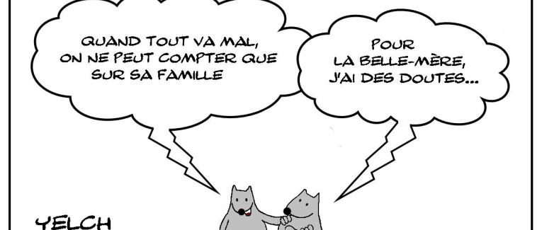 Tout sauf la belle-mère