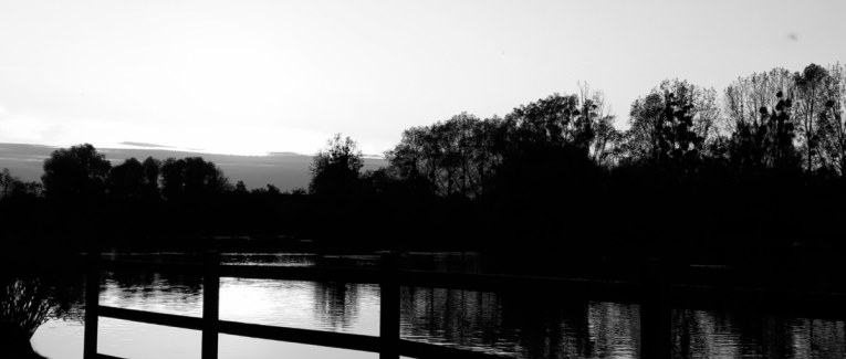 Les alliés du temps...