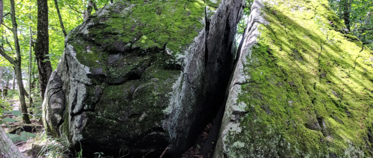 La fissure