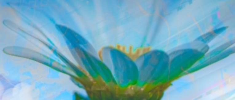 Ma nouvelle philosophie sur mes échecs