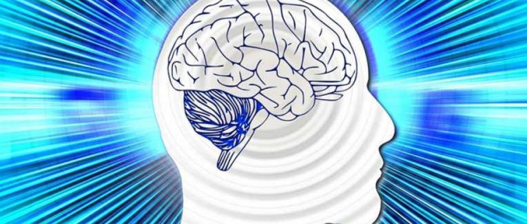 Tout cerveau lent doit faire appel à plusieurs ficelles pour être dirigé avec humour !