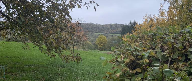 Le jardin du 29 Octobre