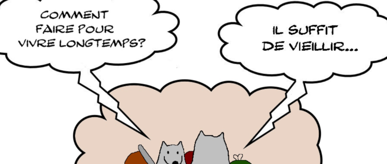 RATPSODIES - BEST OF SUMMER 2023 - 14