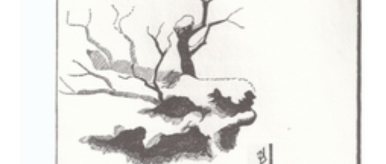 Anecdote météo, neige fin avril 1765 à Carcassonne