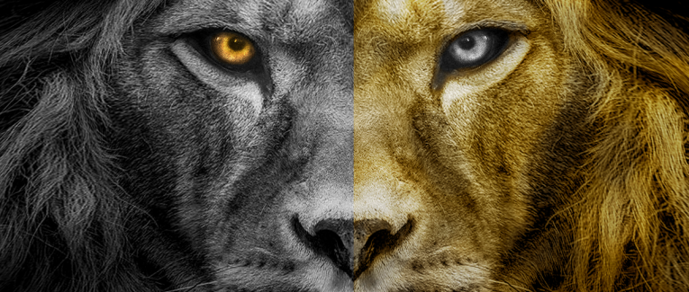 48. La Légende de Nil. Jean-Marc Ferry. Livre 2, L'Utopie de Mohên, VI, 2