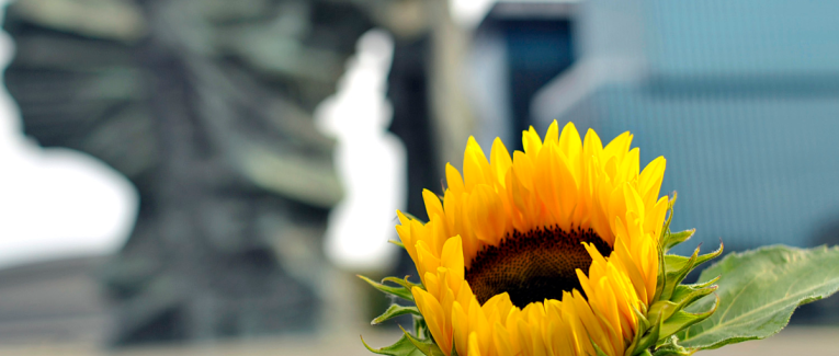 Mini expo photo 4 : Flower power