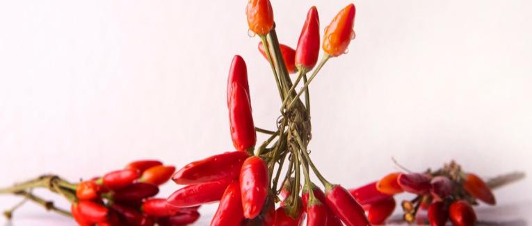 Tabasco