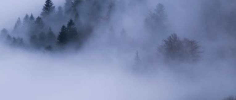 L’aiguail
