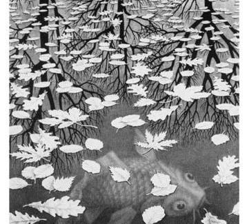 When Art Intersects with Mathematics: M.C. Escher