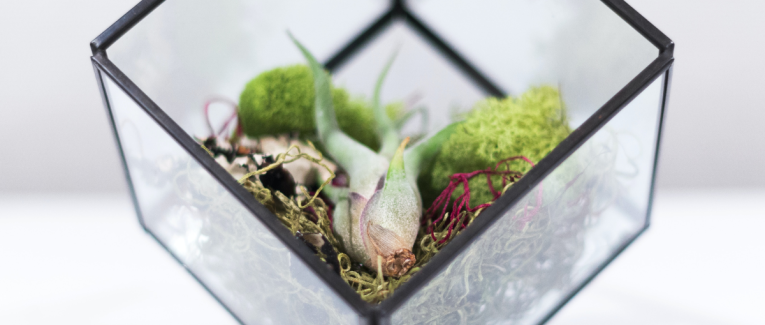 Je crée mon terrarium de Pierre Eyssartier