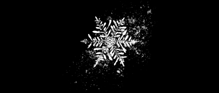 Un flocon de neige