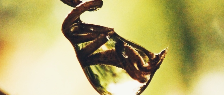 #ConfidencesDAutrice : Fais vriller