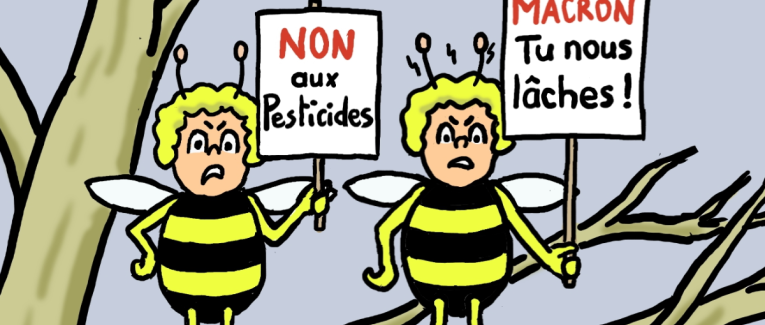 abeilles en péril