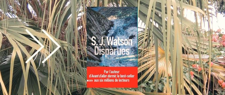 BookTube lecture commune : Disparues - S.J Watson