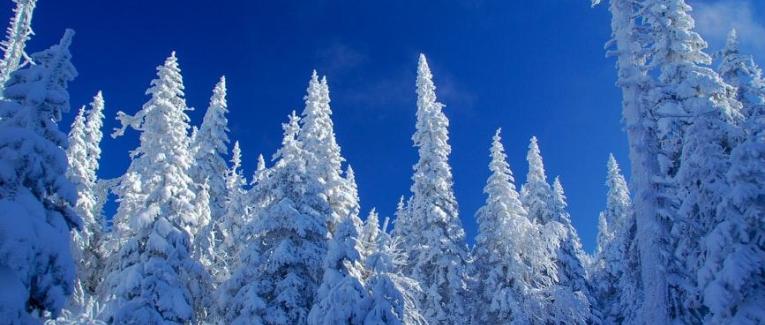 Chapitre 4 Le jour de Noël