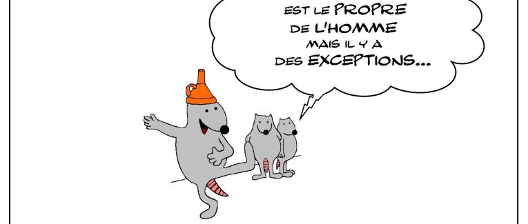 la folie n'est pas que le propre de l'homme , il y a aussi des rats fous...