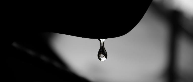 Fragments n°1