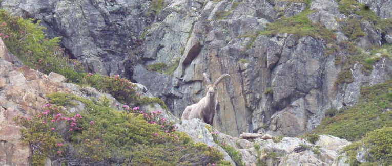 Fragments de réalisme pour moi-même