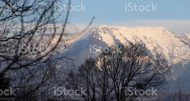 Chapitre 6 Des souvenirs qui remontent à la surface.