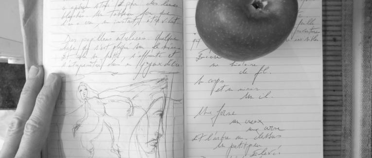 Petits Papiers Volants : Journal D'écriture 2003-2019- 11-12-2004