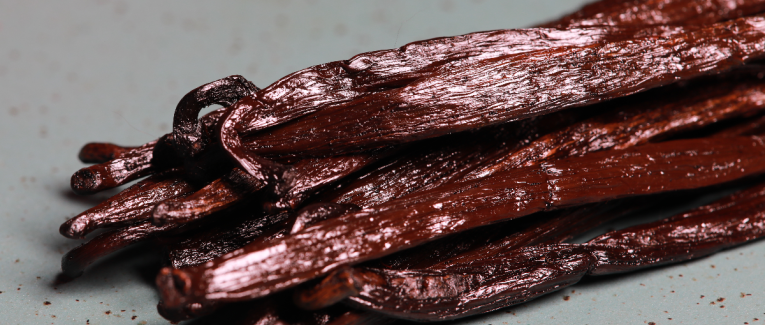 Le Vanillier : Une Exploration Scientifique et Technique de Vanilla planifolia