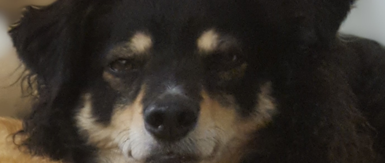 Message de Mini : Amour et vulnérabilité