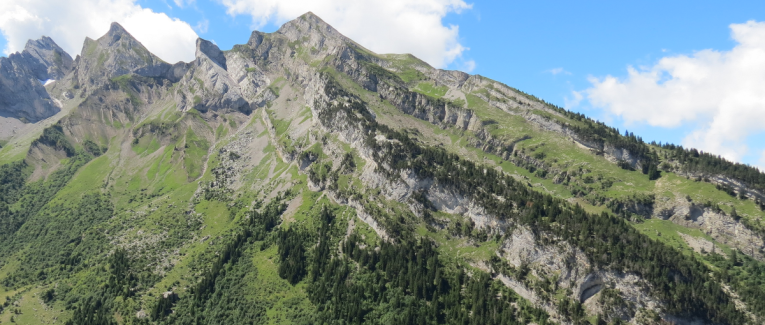 Tuer l'aède