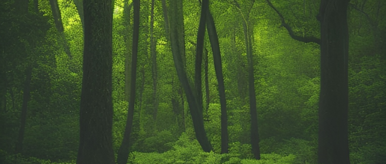 Biopesticides