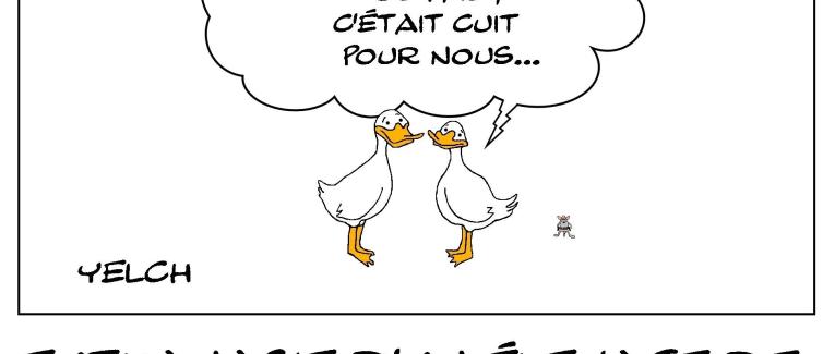 Canards de toute façon foutus