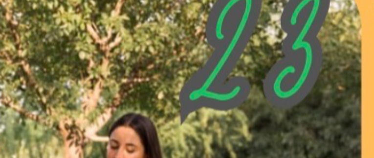 Case 23 : 🌉 Karl et la brume de l’ouest.