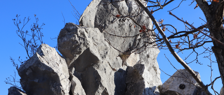 Deux Mondes : La Discrépance Fondamentale entre la Préservation Numérique et l'Économie de l'Attention Éphémère