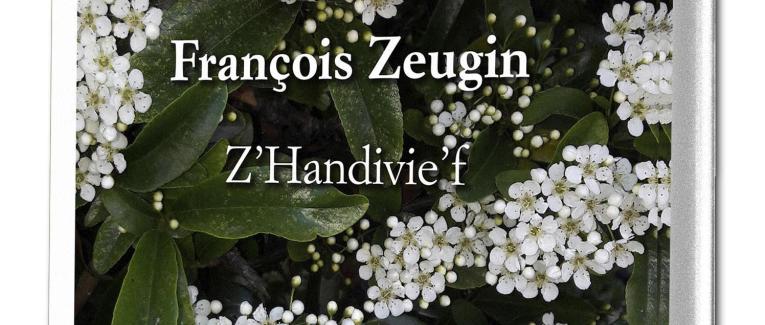 Z'Handivie'f le livre