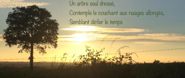 Mon espace de liberté poétique