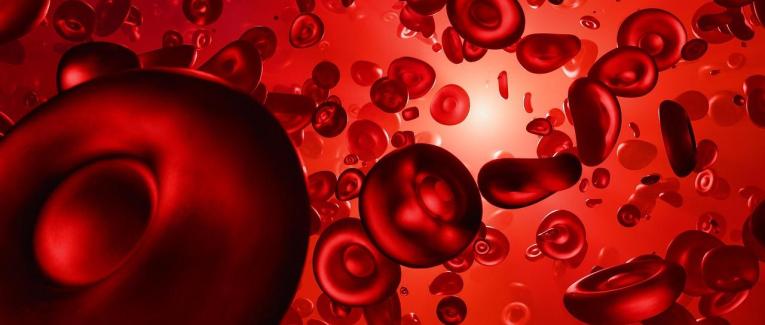 Concours Renaissance