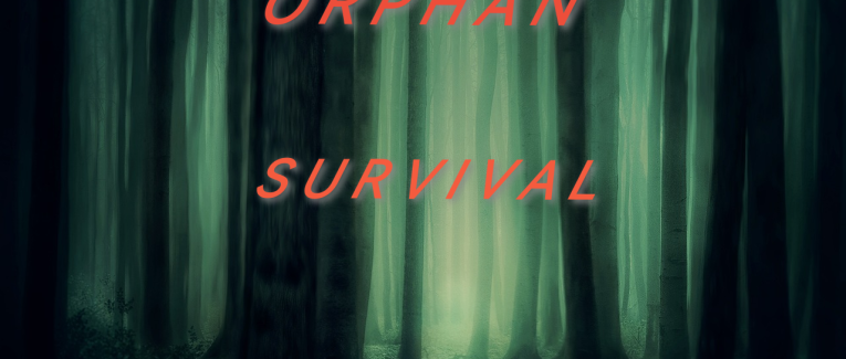 Récit - Orphan Survival