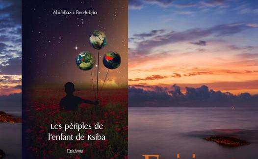 Les Périples de l'Enfant de Ksiba