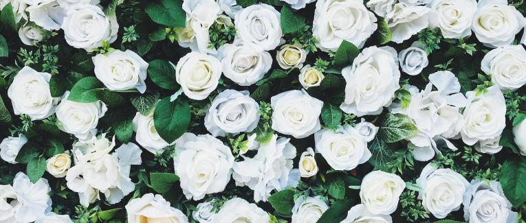 Le jardin des fleurs de poésie