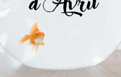 Poisson d'Avril - The 100 day project 2024