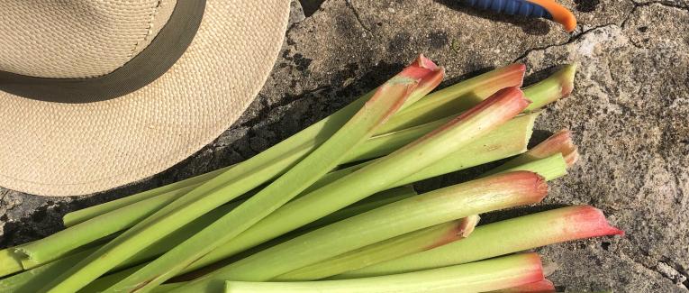 Alimentation éclairée