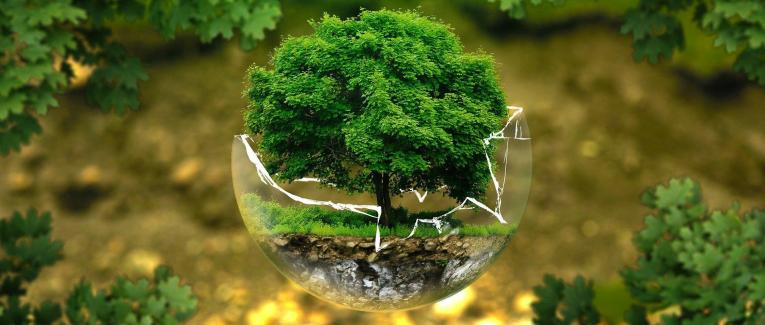 Environnement