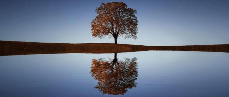 Pensées et réflexions...