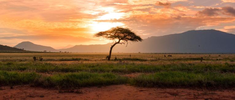 La valse des sentiments